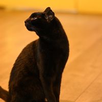   at KITTCHEN in Hawkshead