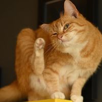   at KITTCHEN in Hawkshead