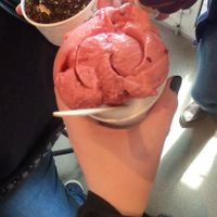 Himbeer und Zitronen Sorbet at Café Fru Dax in Romo