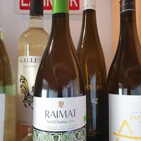 Variedad de vinos veganos at Cor de Carxofa in Benicarlo