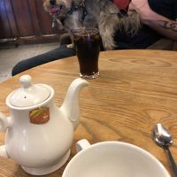 Good size pot of tea at The Cowherds in Southampton