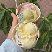   at La La Ijs in Amsterdam