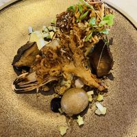   at Offbeet - New Forest in Southampton