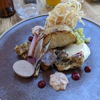 Into the woods at Offbeet - New Forest in Southampton