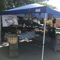 Farm tent at Ellsworth Farmer's Market in Ellsworth