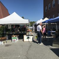 Organics at Ellsworth Farmer's Market in Ellsworth