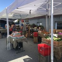 Veggies at Ellsworth Farmer's Market in Ellsworth