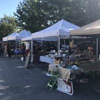 Kim bucks pickles breads at Blue Hill Farmer's Market in Blue Hill