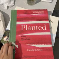   at Veganique in Seoul