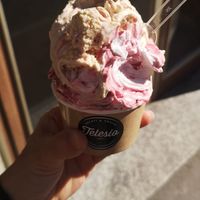 Noci e fichi caramellati, amarena, cervia at Gelateria Telesio in Turin