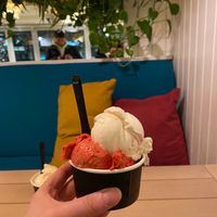 Coconut, and Raspberry Sorbet at Marshall's Gelato in Sarajevo