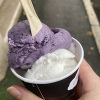  at Marshall's Gelato in Sarajevo