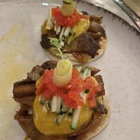 Schwarms  at Fonzo in Malaga