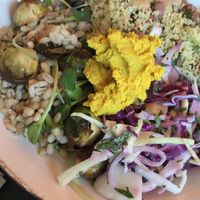 Yummy festive salad bowl at Megafauna in Southport