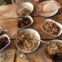 A selection of vegan dishes  at The Coconut Tree in Oxford