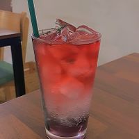   at Nammi Plant Lab in Seoul