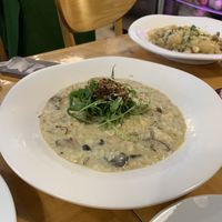   at Nammi Plant Lab in Seoul