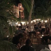 Seating area below the palms at LUUMA in Holbox