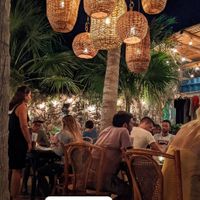 Garden view under the palm trees at LUUMA in Holbox