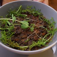 Lentil chili at 66 Green Restaurant in Perigueux