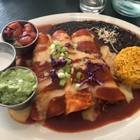 jackfruit enchiladas  at Luna Verde Vegan Mexican Restaurant in Bradley Beach