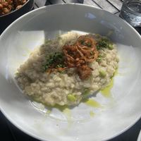 Risotto   at Revolution Winery and Kitchen in Sacramento