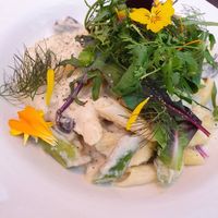 mushroom and asparagus salad with cashew cheese  at Nourish in Sequim