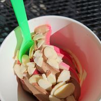 Chocolate and pomegranate at Swirls Frozen Yogurt in Parker