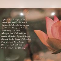  at The Lotus-Heart Restaurant in Christchurch