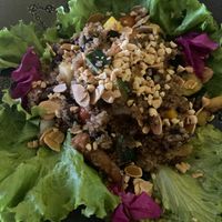 Quinoa salad with roasted vegetables  at Zaitun in Cartagena