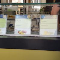 Vegan flavours at Ottavia Gelateria in Funchal