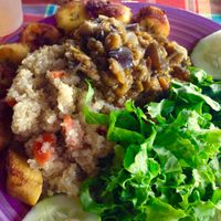 Today's special at Freedom Fighters Ital Shack in Philipsburg