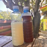   at Freedom Fighters Ital Shack in Philipsburg