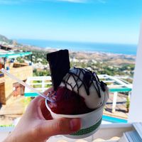 Rice milk chocolate, sangria sorbet and lemon sorbet with dark chocolate drizzle  at Mayan Monkey Mijas in Mijas