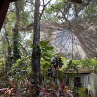   at Bean Me Up in Goa