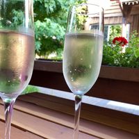Prosecco on tap at Eve Olive in Nanaimo