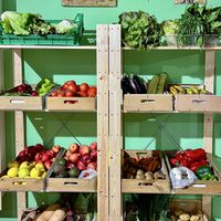   at Ecopunt in Mallorca