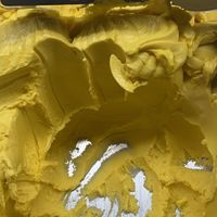 Vegan mango sorbet at Paradis in Copenhagen