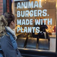 Window at V-Face in Dublin