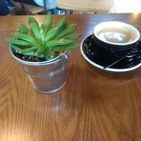 Coffee at Zenith in Lisbon