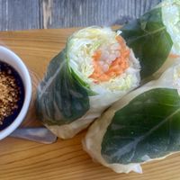 Fresh rolls  at Thailand Modern Eatery in Providence