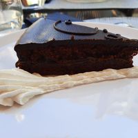 Sacher at Alice e Viola in Collegno