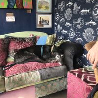   at Cafe Carmel in Bacton