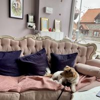   at Cafe Carmel in Bacton