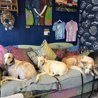   at Cafe Carmel in Bacton