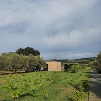 Location at Podere Arduino in Castagneto Carducci