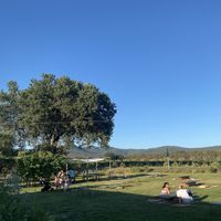 Mountains in the distance   at Podere Arduino in Castagneto Carducci