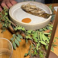   at Podere Arduino in Castagneto Carducci