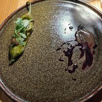   at Podere Arduino in Castagneto Carducci