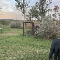   at Podere Arduino in Castagneto Carducci